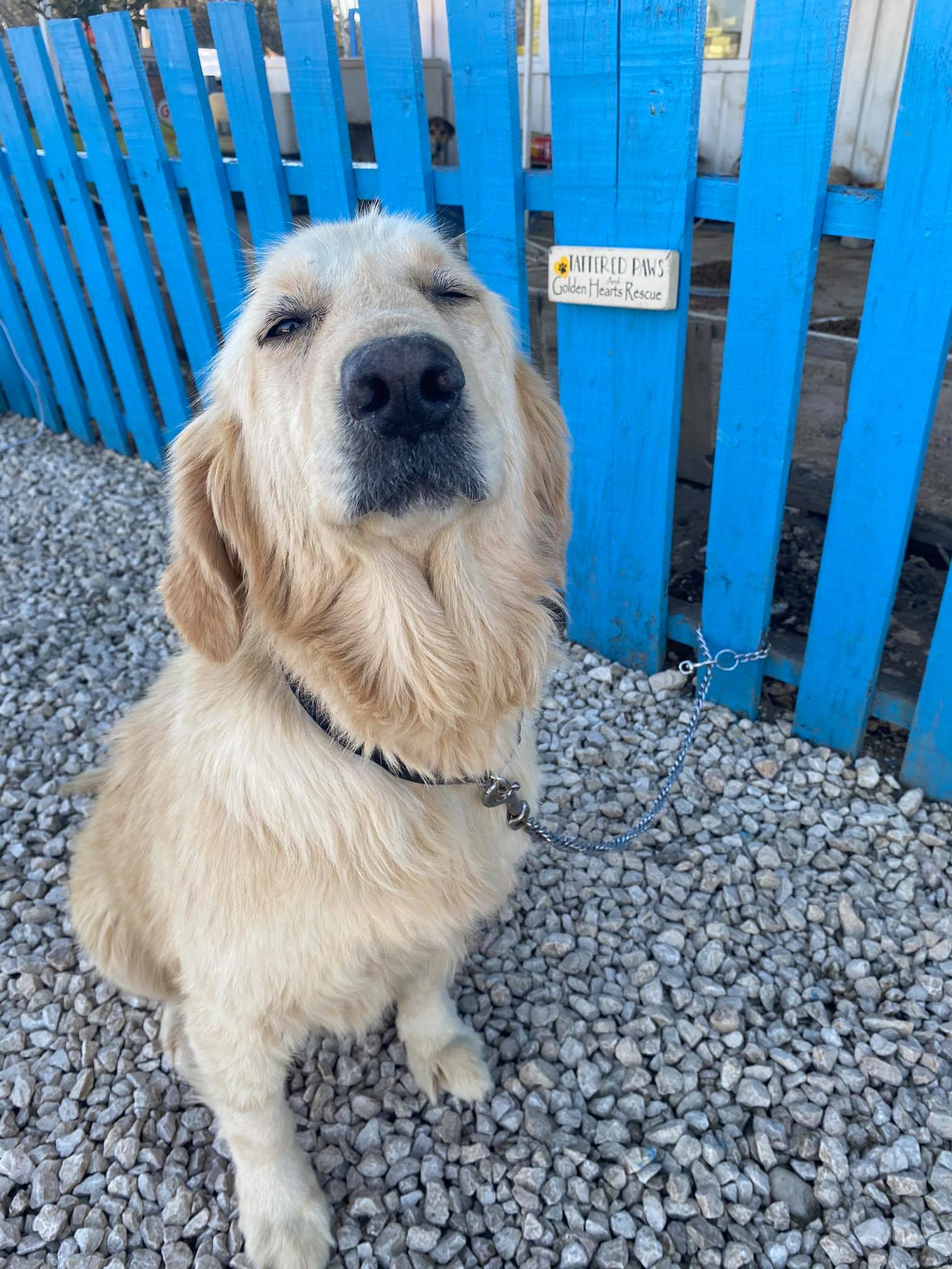 Winnie (fka Savannah) 